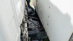 
										Isuzu Elf300 2010 lleno									