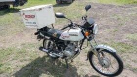 Honda CGL-125-TOOL 2019 Moto